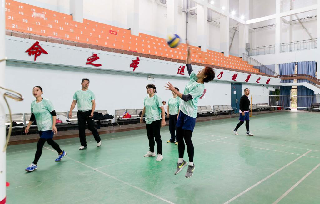 bevictor伟德官网