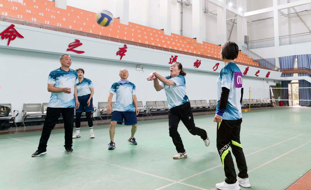 bevictor伟德官网