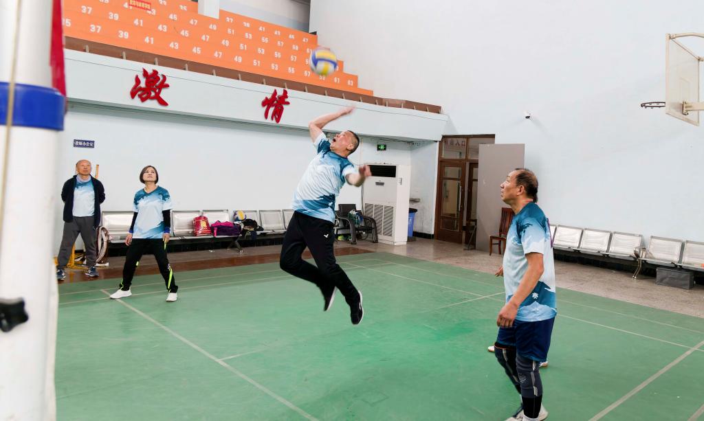 bevictor伟德官网