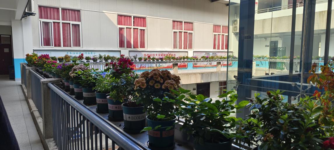 1adbdac8e8bbfea98d96cdfdbdc9a33