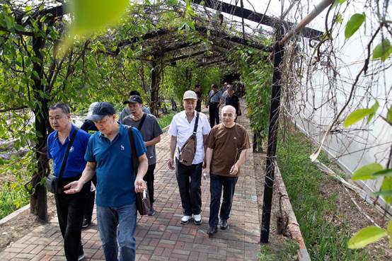 bevictor伟德官网