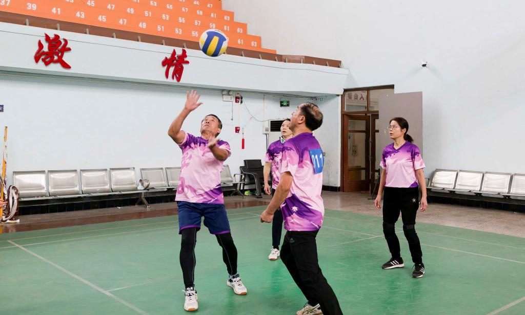 bevictor伟德官网